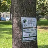 Do kampaně TreeTag se zapojilo 14 měst ze sedmi krajů. Nejčastěji odborníci posuzovali duby